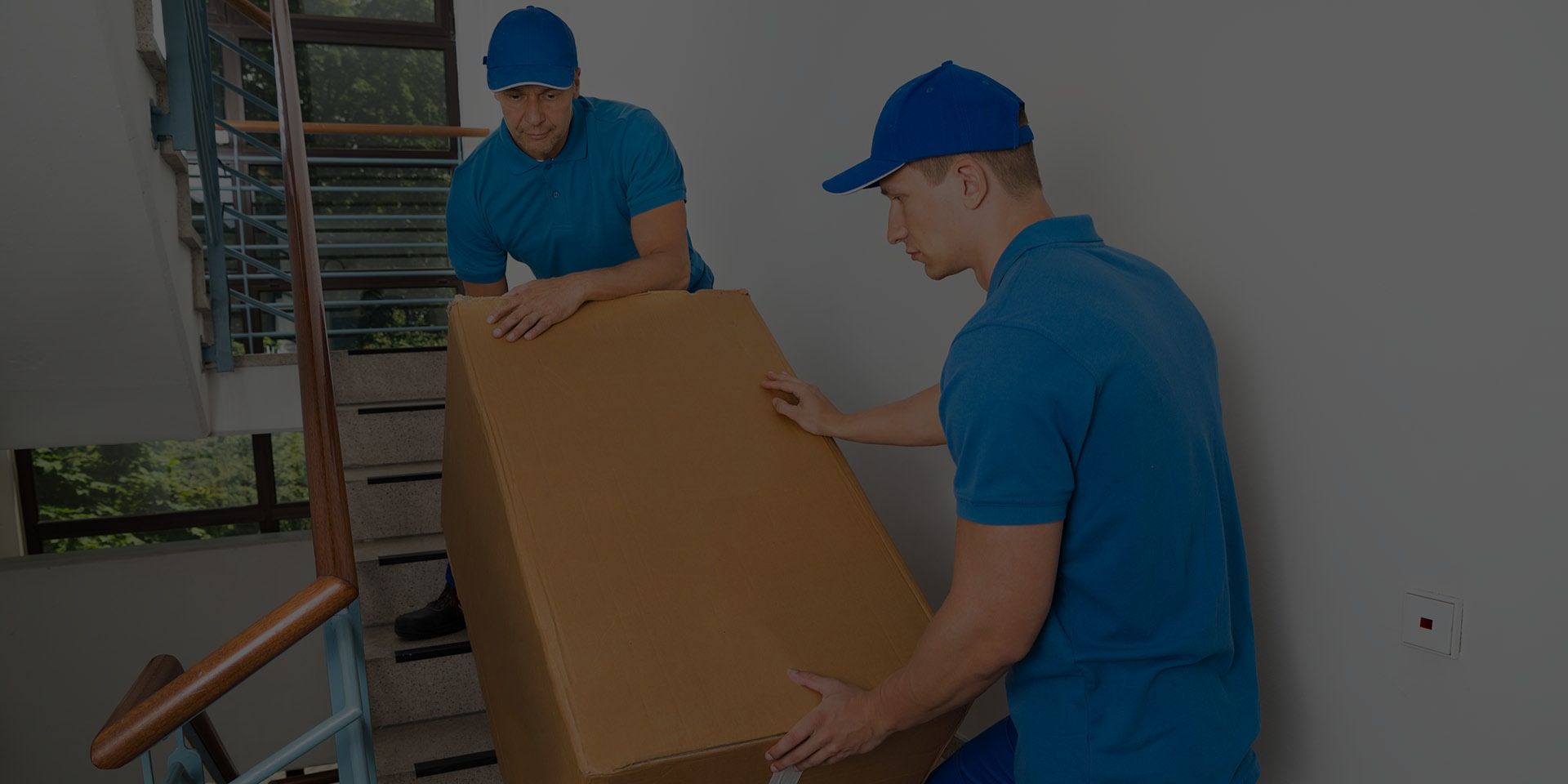 Knightsbridge Movers